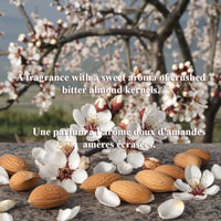 TBS Almond